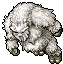 Yeti